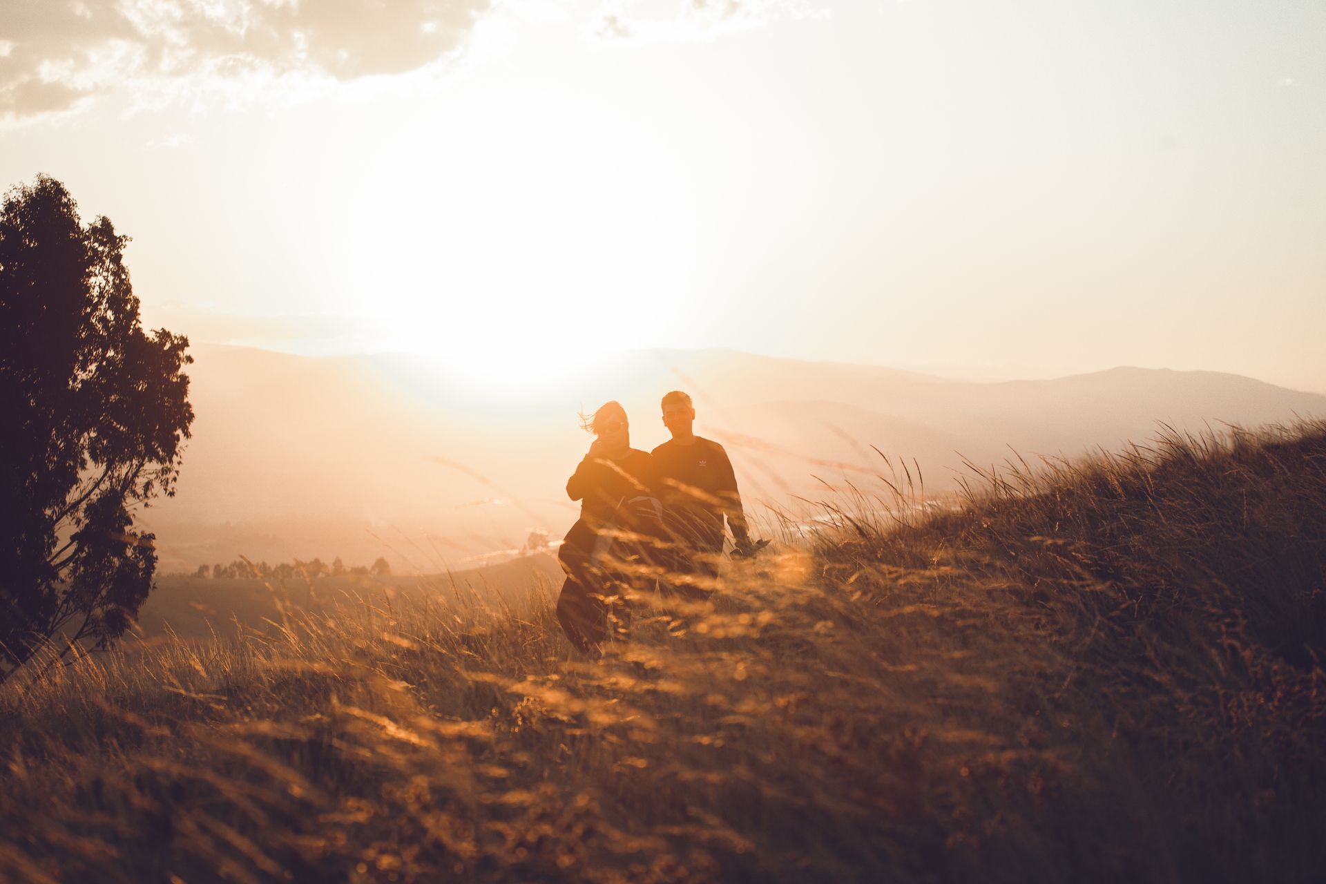 Whimsyland project preview